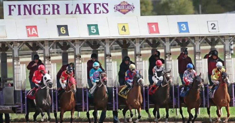 Picks Finger Lakes para hoy 26 de agosto Carreras americanas en vivo VIPbet
