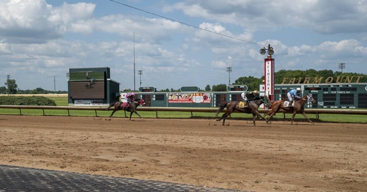 Picks Hipódromo Fairmount Park para hoy 4 de agosto vipbet carreras de hoy