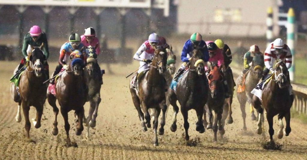 Picks Mountaineer Park hoy 25 de agosto Horse Racing datos fijos carreras americanas VIPbet