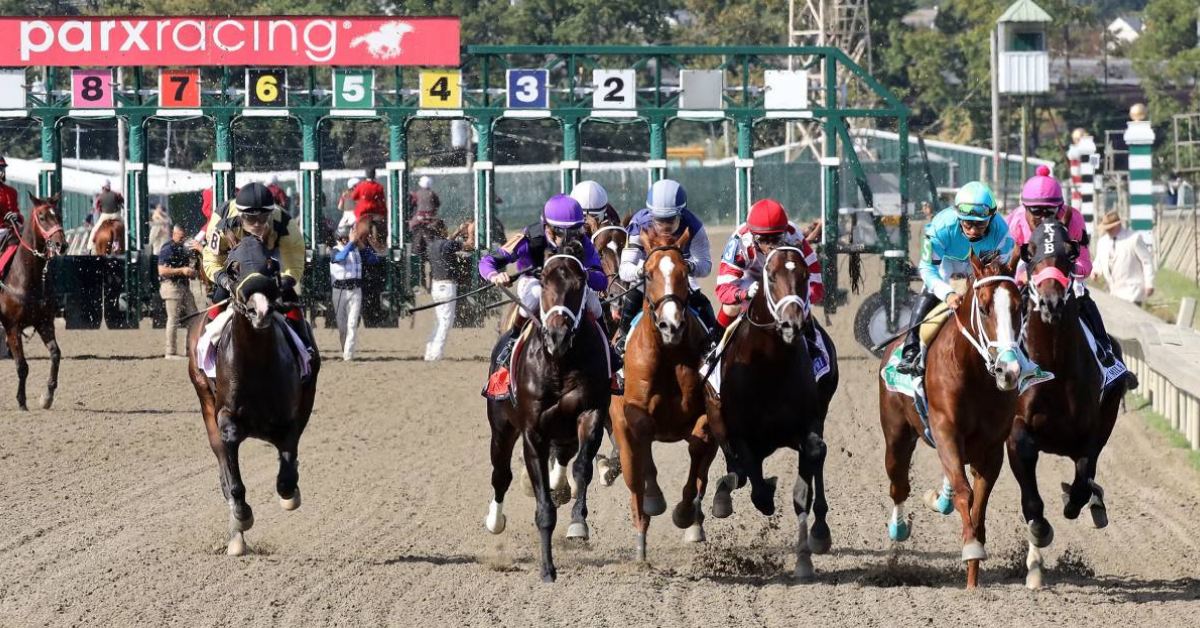 Picks Parx Racing de hoy 31 de agosto programa en español y datos fijos VIPbet