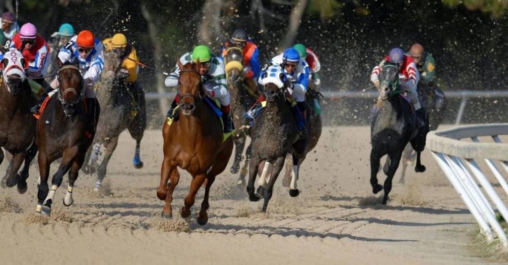 Picks Saratoga y resultados para hoy 14 de agosto VIPbet hipodromos de carreras americanas