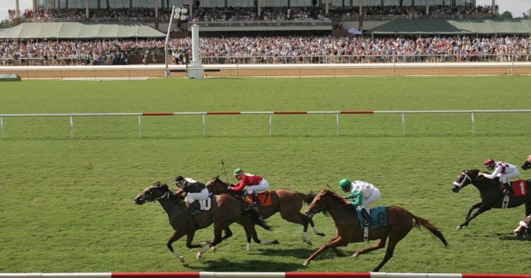 Picks gratis del Hipódromo Colonial Downs para hoy 7 de agosto pronostico de carreras americanas VIPbet