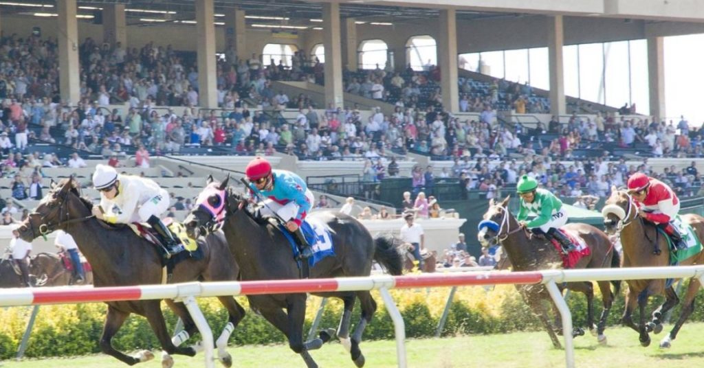 Picks y datos para el Hipódromo Del Mar hoy 16 de agosto carreras americanas en VIPbet