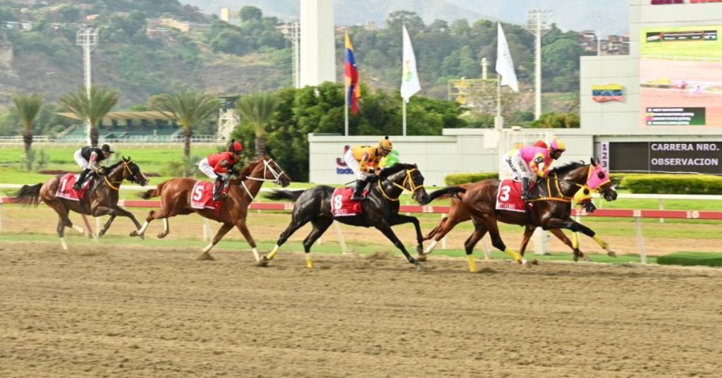 Polla hípica del 5y6 La Rinconada Clásico Sprinters y Sprinters Yeguas VIPbet apuestas de hipismo