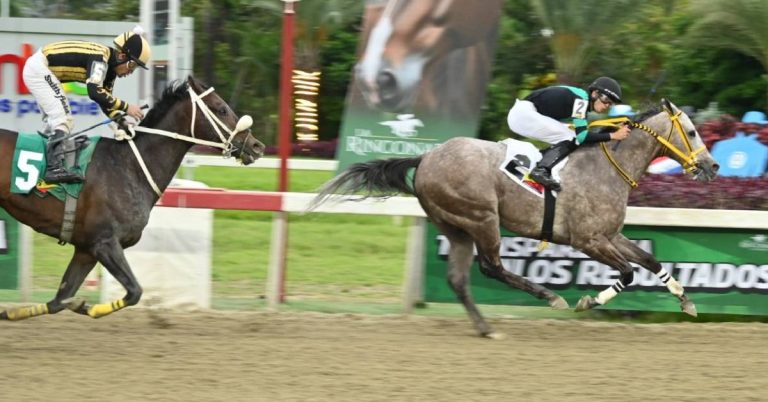Pronóstico Clásico República Bolivariana de Venezuela ejemplar fijo en la rinconada VIPbet apuestas hipicas