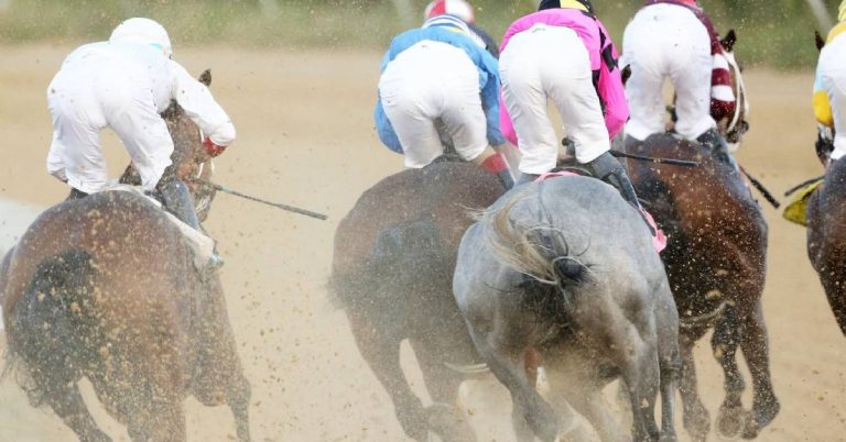 Pronóstico y Picks para el Hipódromo Mountaineer 12 de agosto VIPbet datos fijos