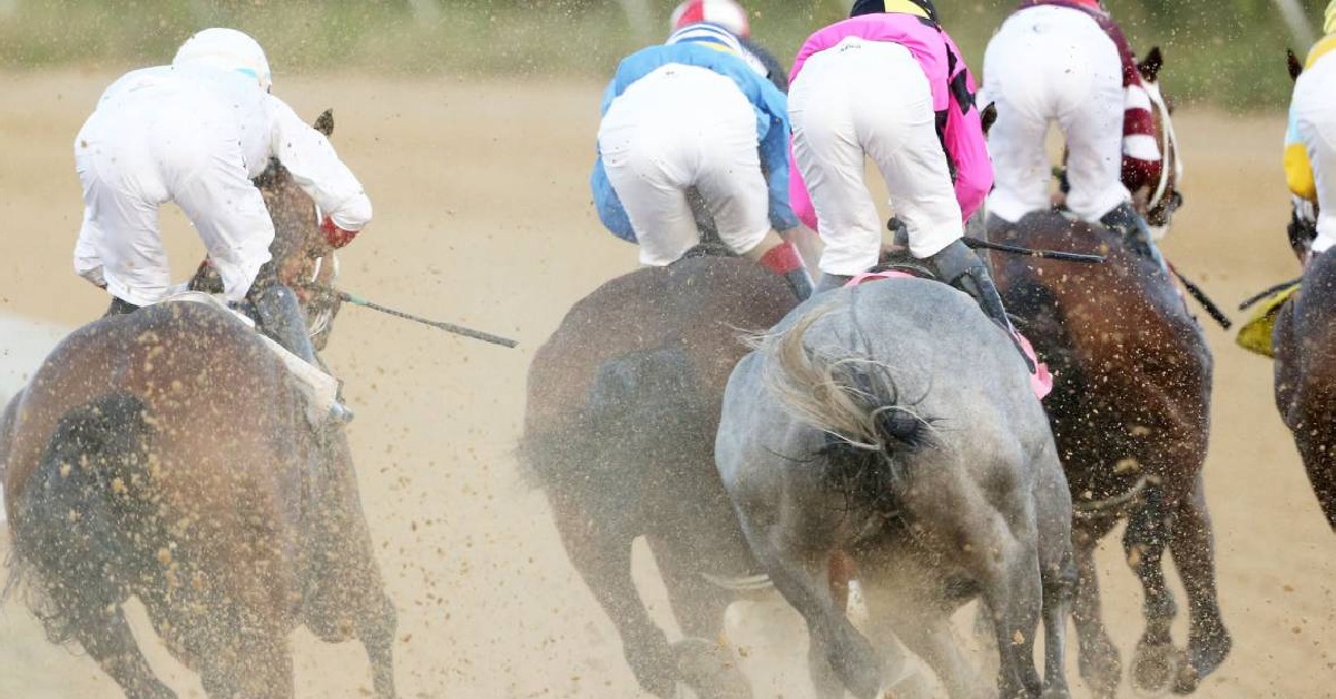 Pronóstico y Picks para el Hipódromo Mountaineer 12 de agosto VIPbet datos fijos