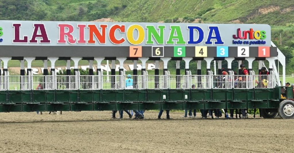 Pronóstico y ejemplar fijo La Rinconada 9 de agosto Hipismo Nacional VIPbet apuestas hipicas nacionales