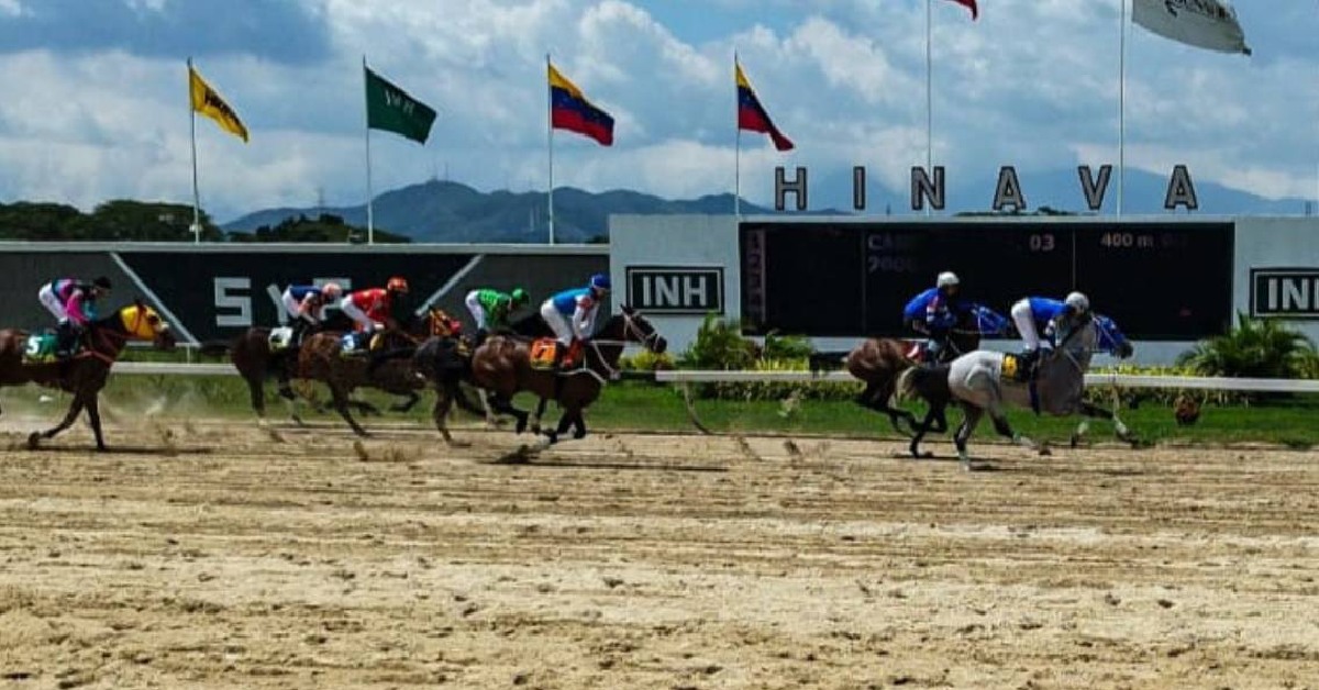 Retrospecto Hipódromo de Valencia hoy 8 de agosto - Cuadro del 5y6 Clásico Independencia de Venezuela VIPbet apuestas hipicas