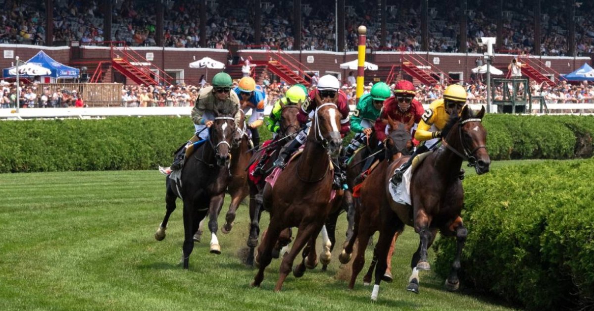 Saratoga Picks de hoy 5 de agosto VIPbet pronostico carreras americanas