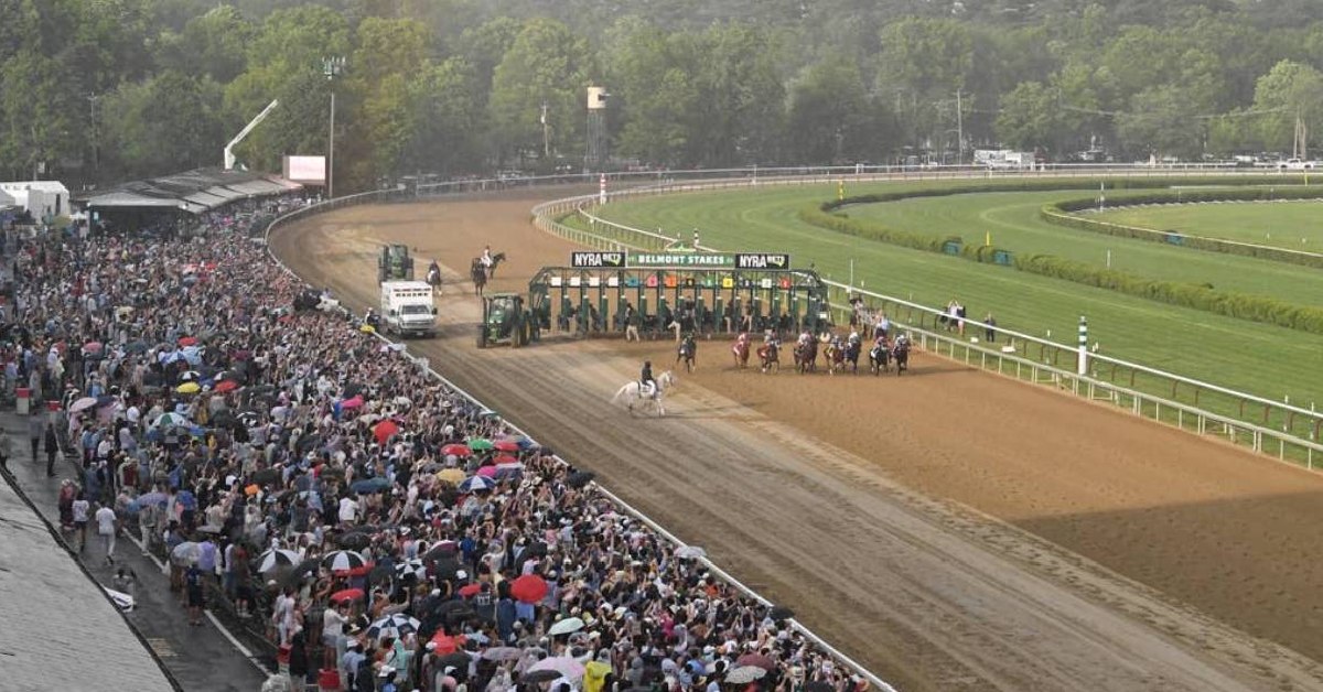 Saratoga Picks gratis de hoy 16 de agosto Resultados de carreras americanas VIPbet apuestas hipicas