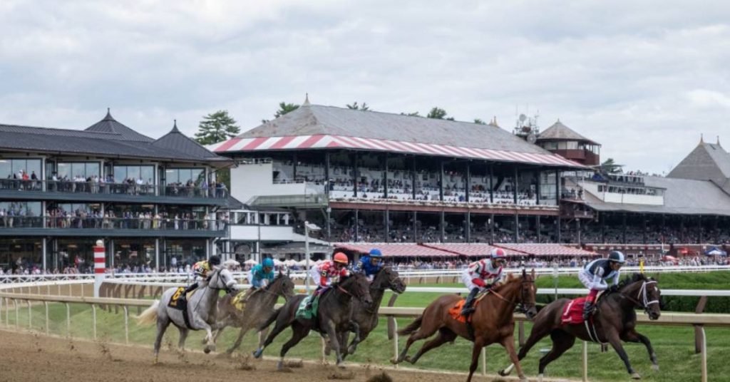 Saratoga Picks gratis de hoy 20 de agosto Horse Racing VIPbet carreras americanas