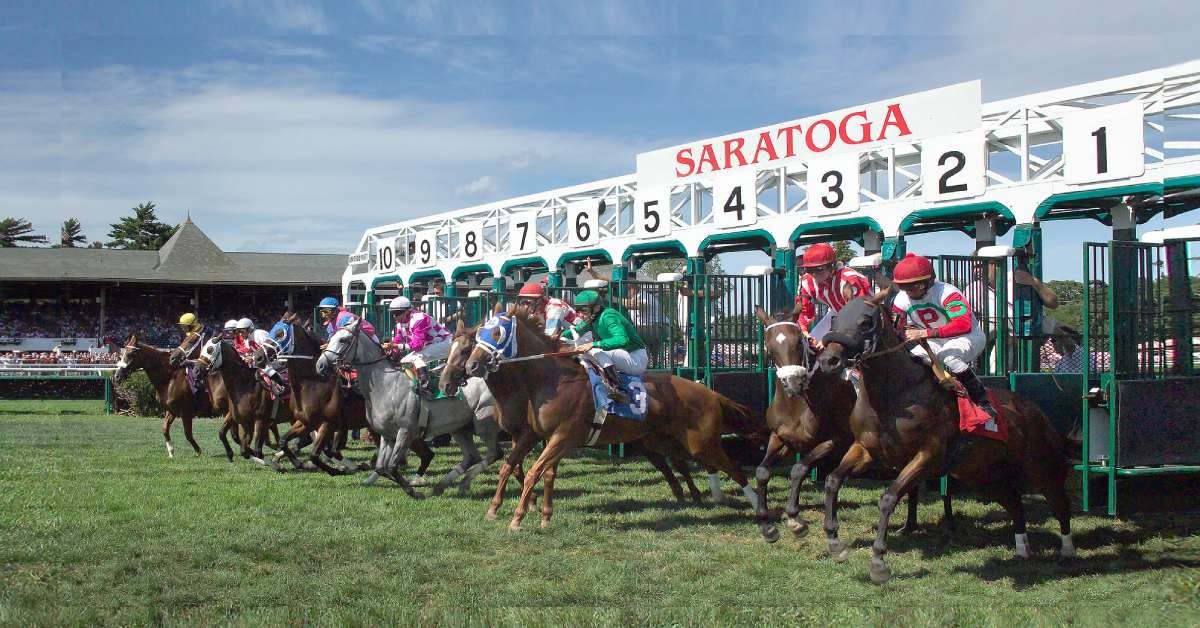 Saratoga picks y datos de hoy 30 de agosto resultados de carreras americanas VIPbet
