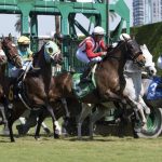 Carreras americanas Gulfstream Park picks de hoy 20_09_2026 VIPbet resultados y carreras en vivo