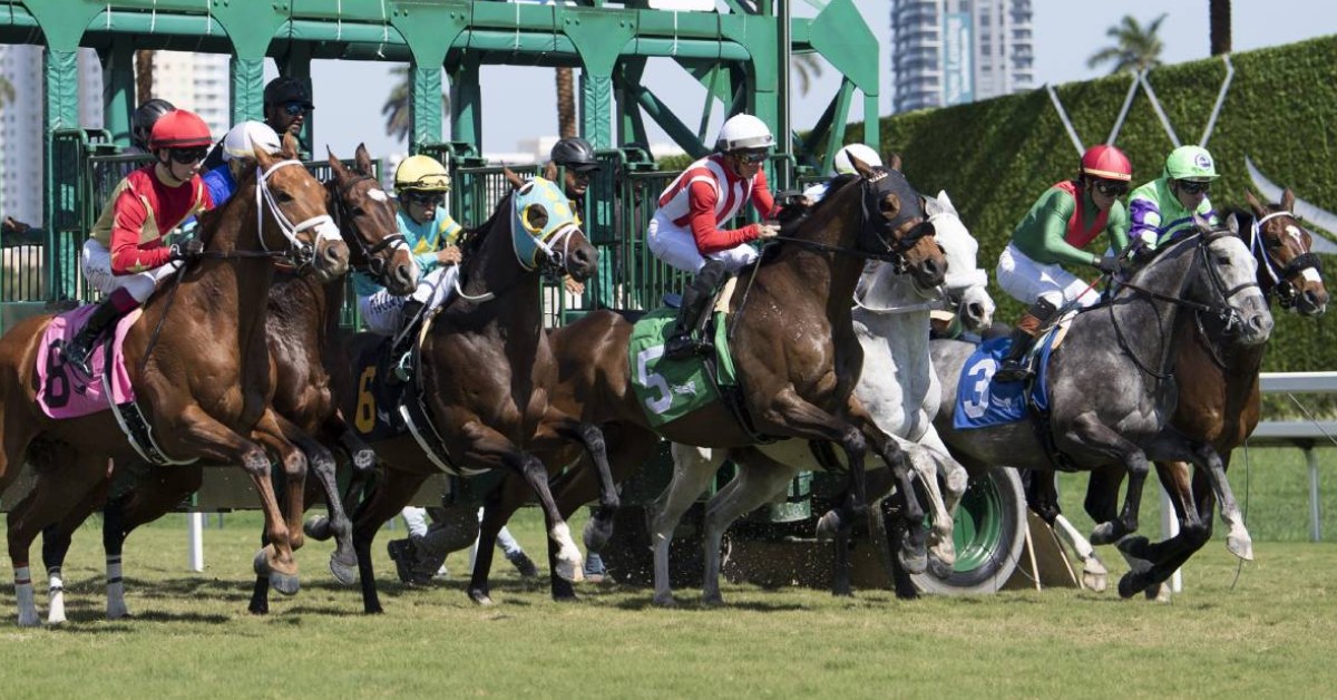 Carreras americanas Gulfstream Park picks de hoy 20_09_2026 VIPbet resultados y carreras en vivo