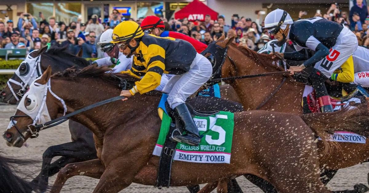 Carreras americanas Gulfstream Park picks para hoy 4 de septiembre apuestas hipicas internacionales VIPbet