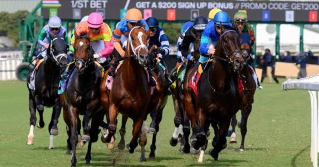 Carreras americanas Hipódromo Gulfstream Park hoy 13_09_2026 hipismo internacional VIPbet