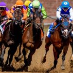 Carreras americanas en vivo Finger Lakes 16 09 2026 resultados hipicos VIPbet