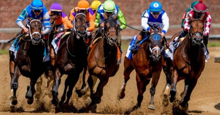 Carreras americanas en vivo Finger Lakes 16 09 2026 resultados hipicos VIPbet