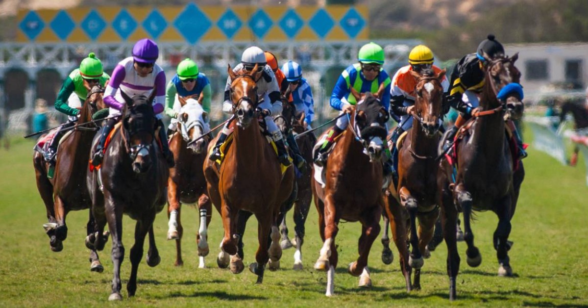 Datos fijos Hipódromo Del Mar y picks de hoy 7 de septiembre carreras americanas VIPbet