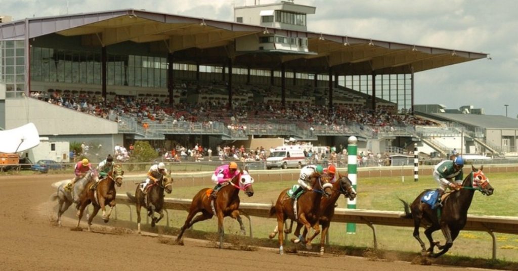 Datos hipódromo Finger Lakes y picks hoy 8 de septiembre carreras americanas VIPbet