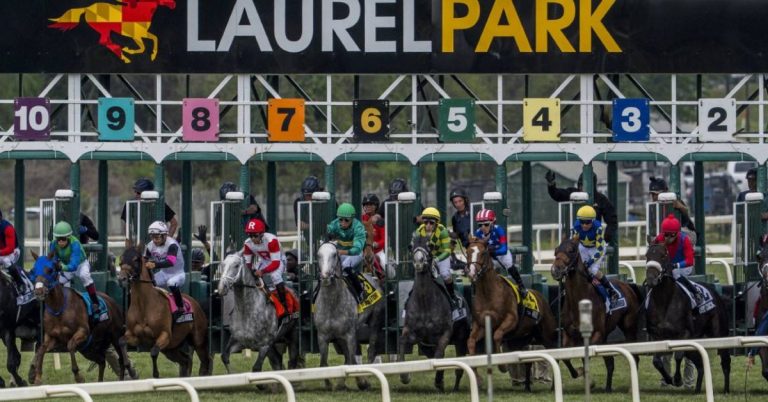 Datos y Picks para las carreras del Laurel Park hoy 13_09_2026 carreras americanas en vivo VIPbet