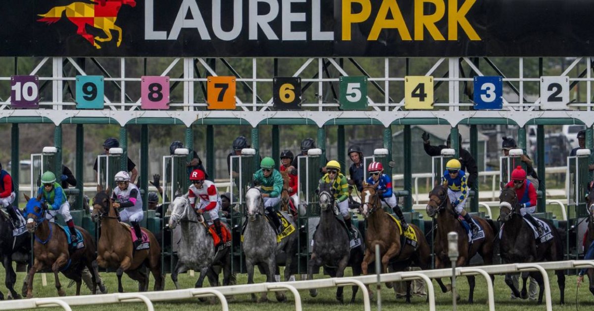 Datos y Picks para las carreras del Laurel Park hoy 13_09_2026 carreras americanas en vivo VIPbet