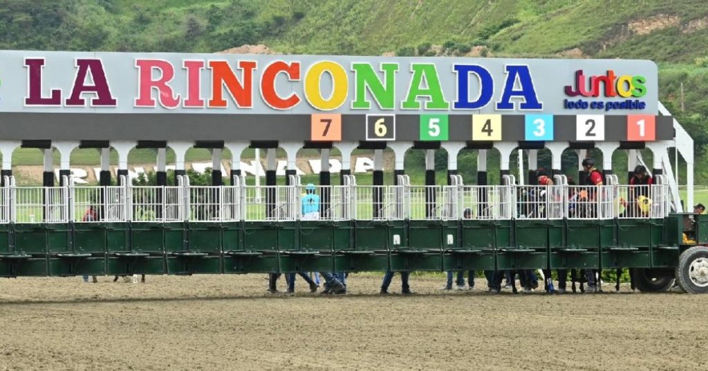 Favoritos del 5y6 para el Hipódromo La Rinconada para el domingo 6 de septiembre apuestas hipicas VIPbet