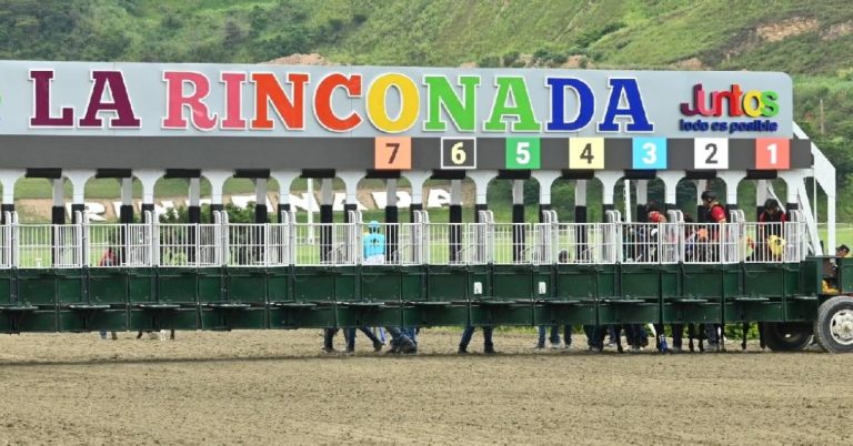 Favoritos del 5y6 para el Hipódromo La Rinconada para el domingo 6 de septiembre apuestas hipicas VIPbet