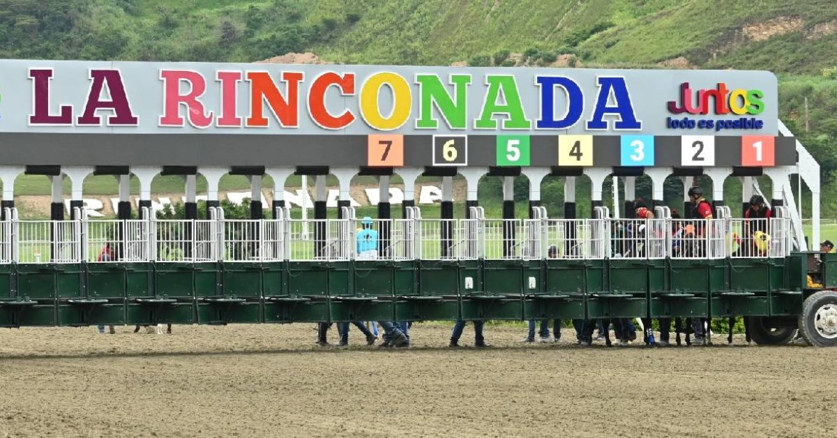 Favoritos del 5y6 para el Hipódromo La Rinconada para el domingo 6 de septiembre apuestas hipicas VIPbet