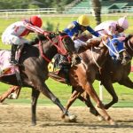 Favoritos para el cuadro del 5y6 Hipódromo La Rinconada 13_09_2026 VIPbet apuestas hípicas nacionales