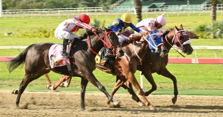 Favoritos para el cuadro del 5y6 Hipódromo La Rinconada 13_09_2026 VIPbet apuestas hípicas nacionales