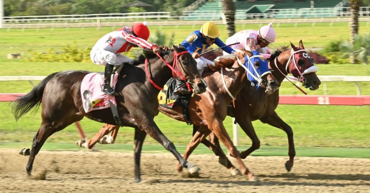 Favoritos para el cuadro del 5y6 Hipódromo La Rinconada 13_09_2026 VIPbet apuestas hípicas nacionales