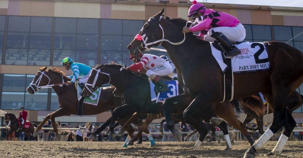 Ganadores del Parx Racing para hoy 9 de septiembre picks y apuestas hipicas VIPbet