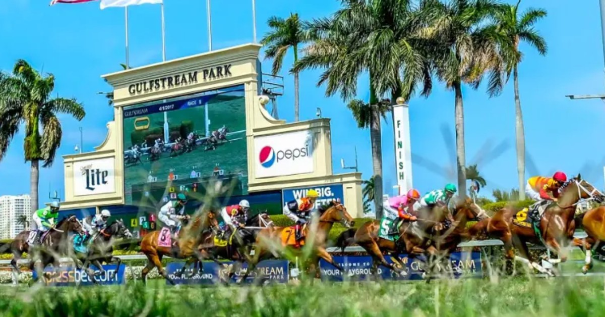 Gulfstream Park picks para hoy 5 de septiembre Programa y resultados hípicos VIPbet