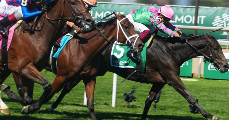 Hipódromo Belmont Park picks para hoy 19 de septiembre VIPbet