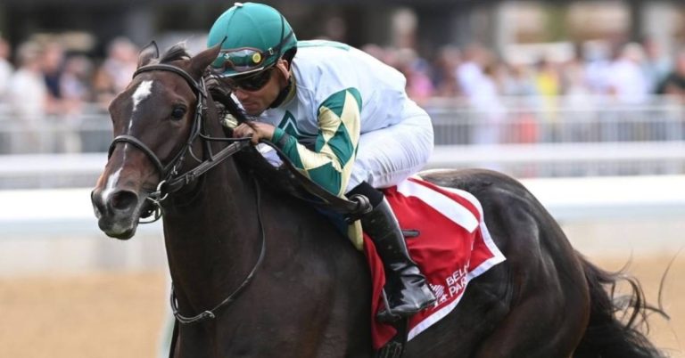 Hipódromo Belmont Park picks para hoy 20_09_2026 VIPbet datos fijos de carreras americanas
