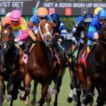 Hipódromo Gulfstream Park picks de hoy 19_09_2026 VIPbet