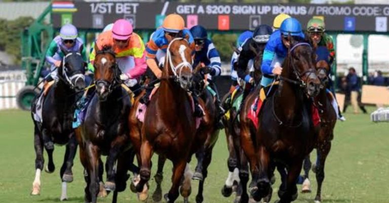 Hipódromo Gulfstream Park picks de hoy 19_09_2026 VIPbet