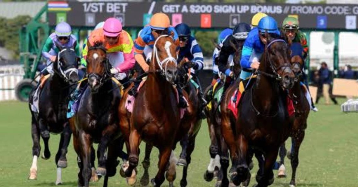 Hipódromo Gulfstream Park picks de hoy 19_09_2026 VIPbet