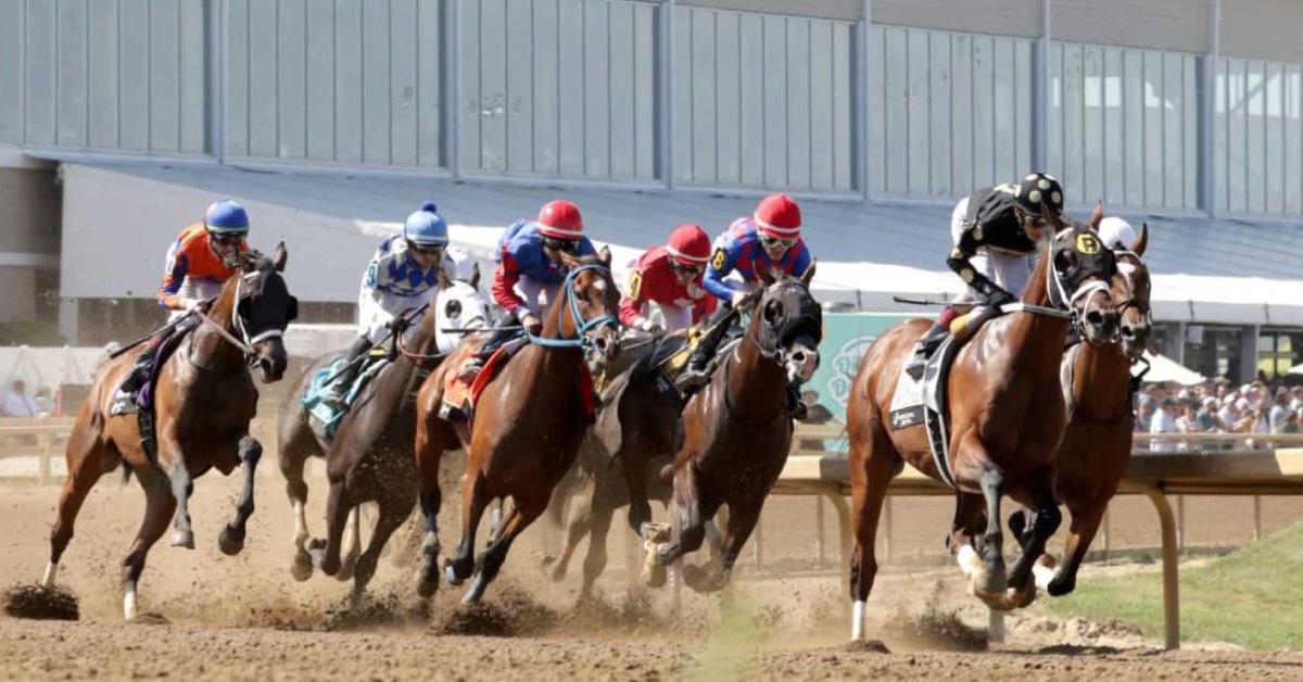 Hipódromo Horseshoe Indianapolis picks para hoy 15 de septiembre carreras americanas VIPbet