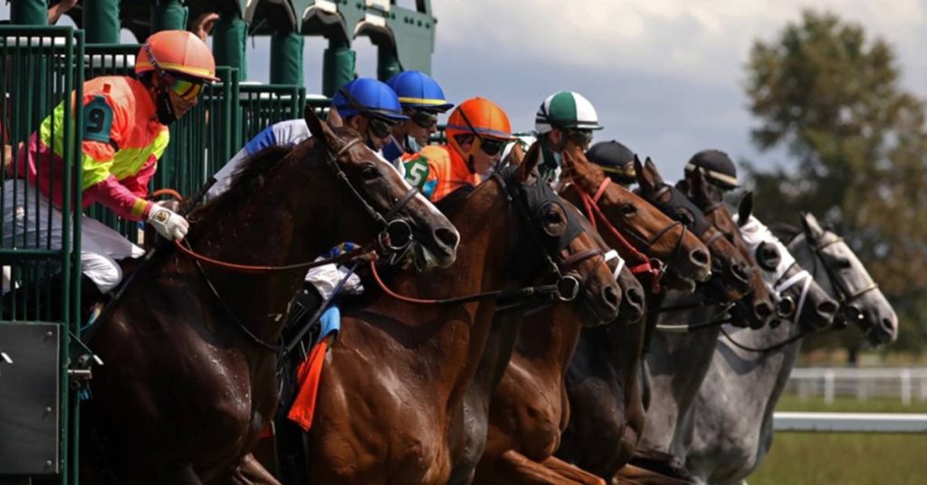 Hipódromo Kentucky Downs picks de hoy 7 de septiembre Horse Racing apuestas hipicas VIPbet