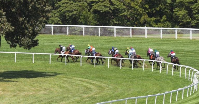 Hipódromo Kentucky Downs picks para hoy 6 de septiembre VIPbet