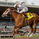 Hipódromo Woodbine resultados y picks para hoy 17_09_2026 VIPbet