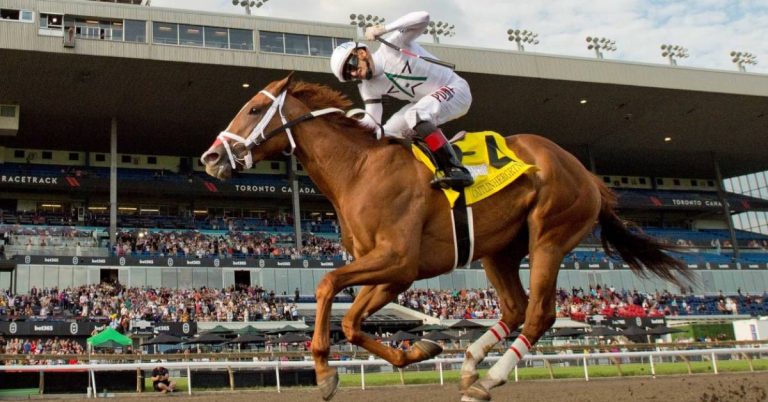 Hipódromo Woodbine resultados y picks para hoy 17_09_2026 VIPbet