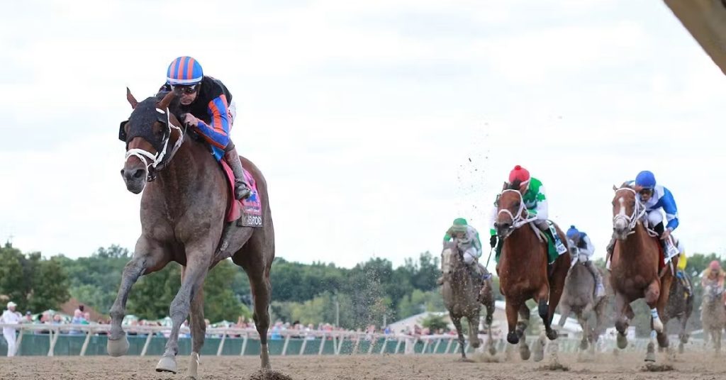 Parx Racing picks para hoy 8 de septiembre datos y programas en vivo carreras americanas VIPbet