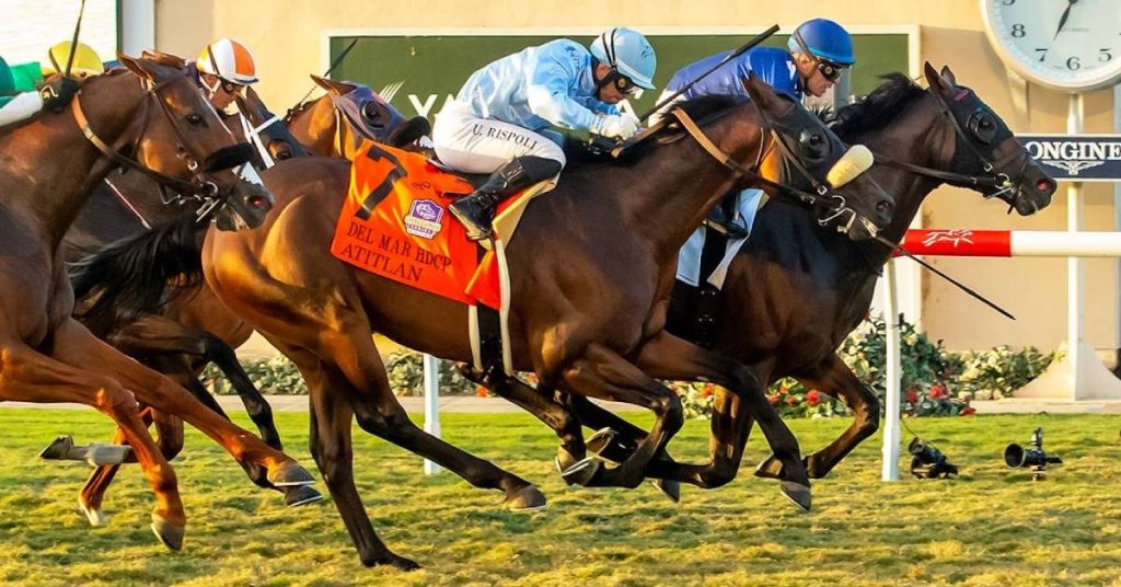 Picks Del Mar para hoy 4 de septiembre Carreas americanas en vivo VIPbet