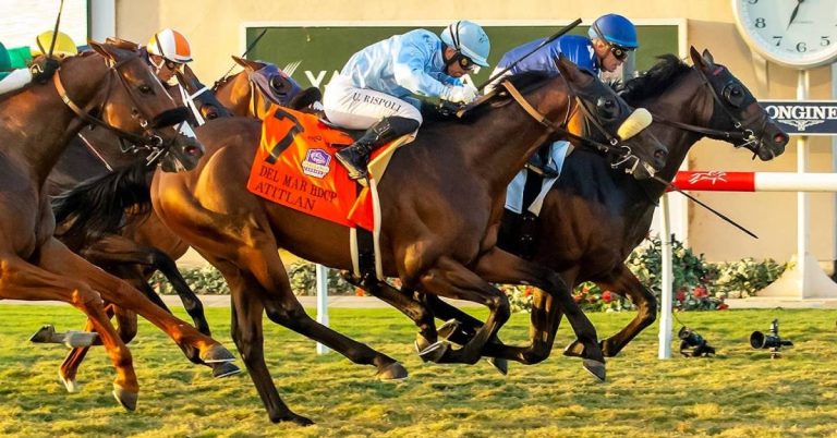 Picks Del Mar para hoy 4 de septiembre Carreas americanas en vivo VIPbet