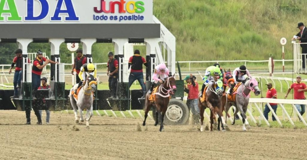 Polla hípica La Rinconada para el domingo 13 de septiembre pronostico VIPbet