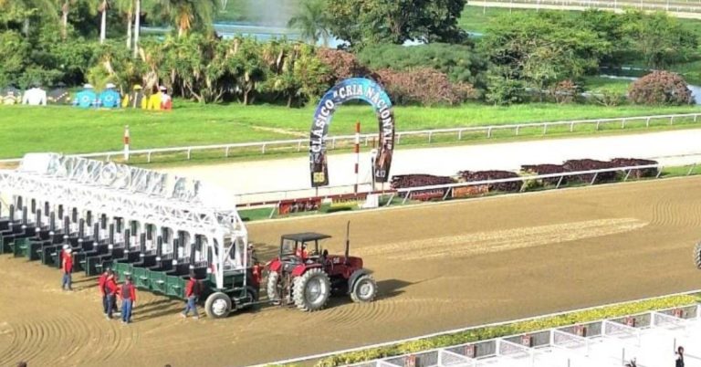 Polla hípica del 5y6 Hipódromo La Rinconada 20_09_2026 VIPbet
